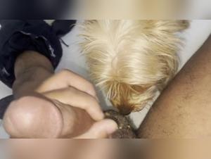 Marci, the Yorkshire girl in bestiality sex videos