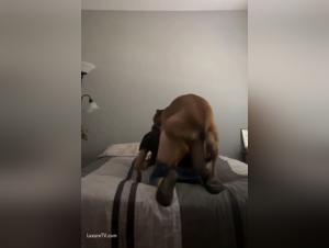jugendliche allein hund sex zuhause