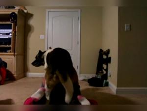 Bestial Encounter: Man and female dog