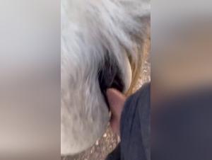 Forbidden Meeting: Woman and Horse