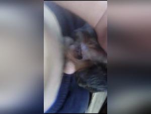 Shocking and exciting bestial sex scene