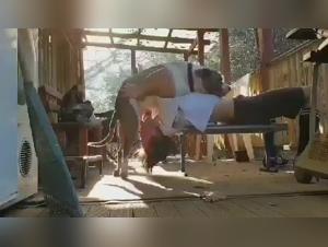 tierliebe zum porno: hund und sinnliche pracht