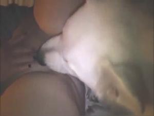 Woman Dog Sex