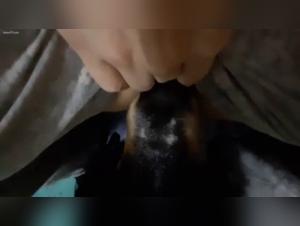 Bestiality sex video with dog