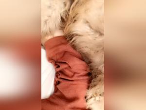 Unveiling Ztube's Hidden Realm