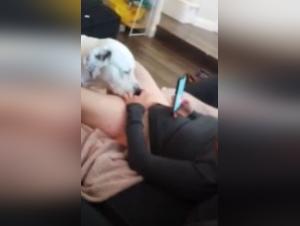 Bestiality sex scene with a dog and a woman