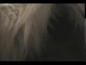 Bestiality: A woman and her dog