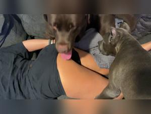 Veronica Silesto: The Queen of Bestiality