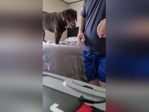 Bestiality: a woman and her dog in a shocking video