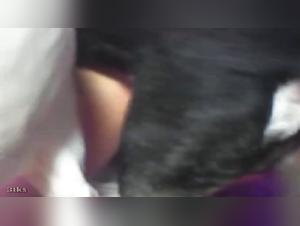 Woman and dogs, a beastly encounter