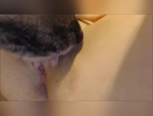 Exploring the Dark Realm of Zoophilia