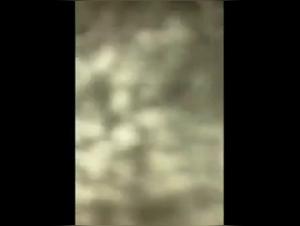 Woman and dog in shocking bestiality sex video