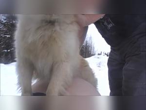 Baise Chien Femme