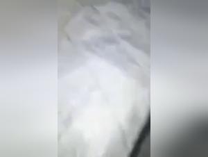 Tattooed and perverted woman: a zoophilia video not to be missed