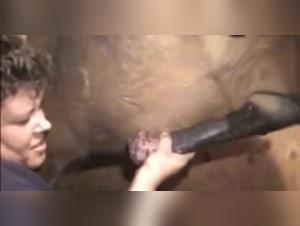 Forbidden Meeting: Horse and Woman