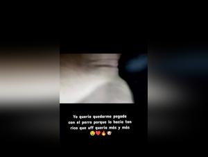 tiktok bestiality : slut Live