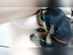 Forbidden Love: Bestiality and Man's Best Friend