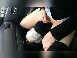 Bestiality: A woman and her dog