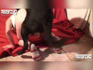 Intense Session with a Dog - Kerstin on ArtofZoo