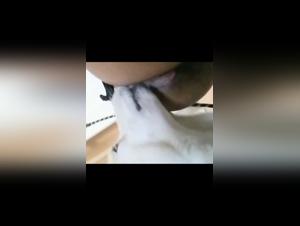 Sex with a dog: a black woman and her four-legged companion