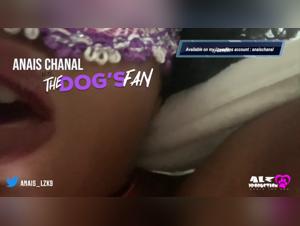 pushing limits : the art zoo universe