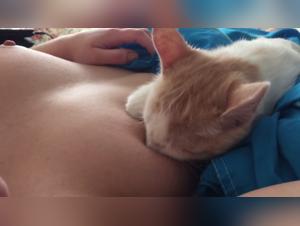 A forbidden encounter with a kitten