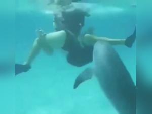 wild dolphin fucks young girl