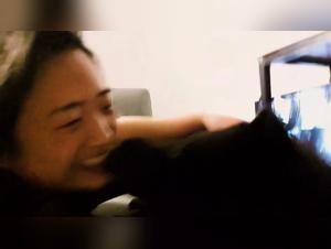 Forbidden meeting: Woman and dog