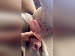 Girls and horses: an intimate and passionate relationship