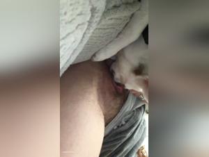 Bestiality: Woman and dog in a shocking video
