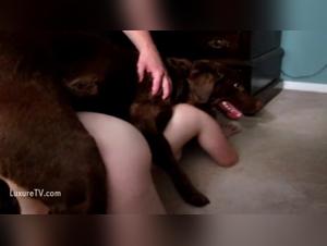 brunette slave tied knot with dog