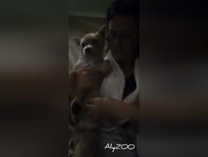 Sexy Zoo Art Compilation of Women with Dogs