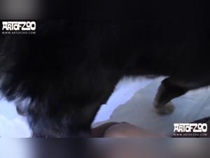 A Sluty Woman Loves Her Dog's Cock