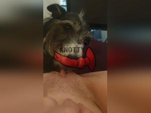 Dog Cock Fucks Slave Girl Video