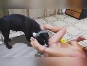 Latin Woman and Dog: A Bestial Encounter - Bestiality Sex Video