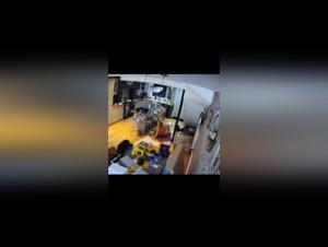 Spy Camera Woman Gets Licked by Her Dog