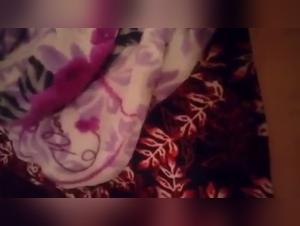 Bestiality: My female dog and my Dogs