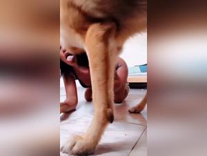 Perro viola a una chica