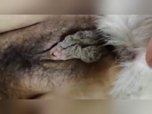 Full Bestiality Videos - 200 Animal Sex Episodes
