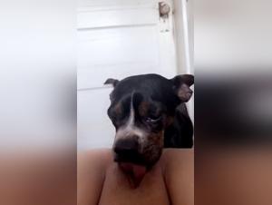 Woman, Dog and Pleasure: A XXX Video that's Extremely Explicit