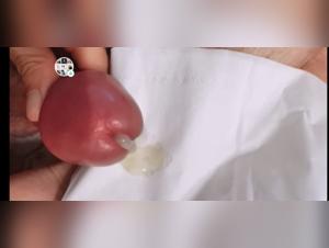 Sex beasts: animality in all its splendor