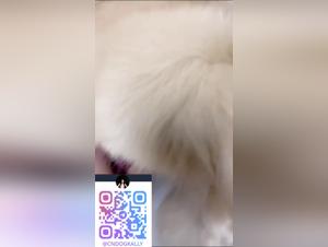 Asiatische Jungfrau von ihrem Hund gefickt