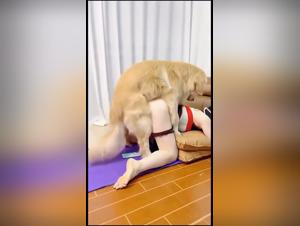 lurextv: hembra joven follo a perro