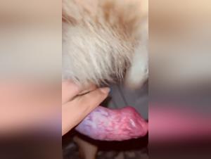 understanding beastporn & the alisonprod perspective