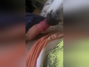 Bestial Video: Man and Dog