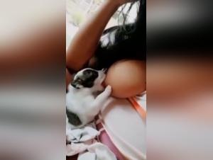Puppy Breastfeeding - Bestiality Sex Video