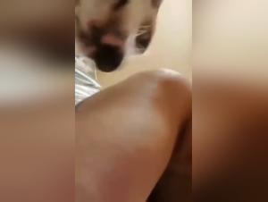 Bestiality: A blonde teenager and a dog