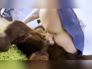 zoophilia's dark side: hardcore truth