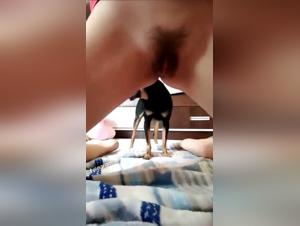 Hairy Teen Pussy, Dog Fuck Alone Bedroom
