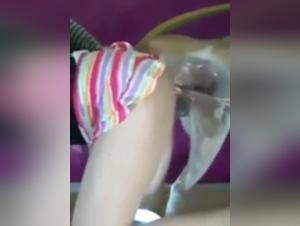 Forbidden Meeting: Man and Dog